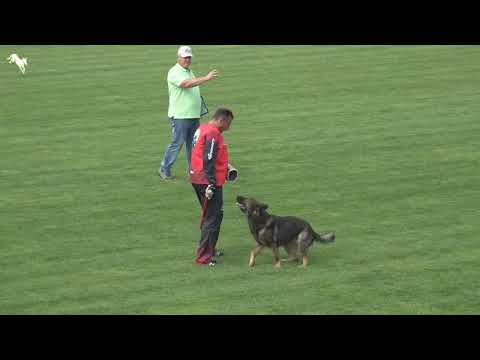 Karo z udoli Upy  MMCKNO 2021 - IGP 3  C