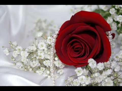 Happy Birthday 50 Gil Hakim