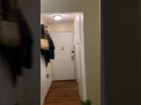 video 1