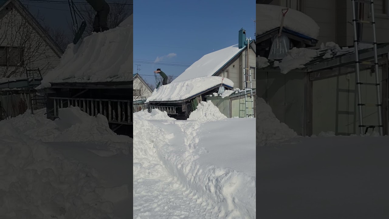 しっかり重たい屋根の雪下ろし🌈