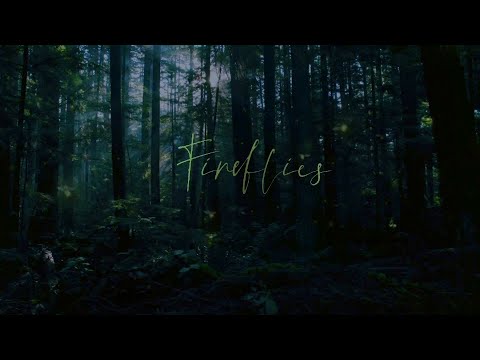 Wayne Tennant - Fireflies (Official Video)