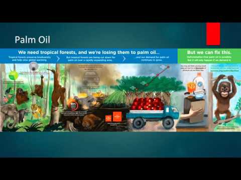 Primate Conservation and Clean Water Movie Sarah Etheridge-Criswell