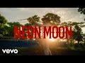 DJ Noiz Mr Cowboy Neon Moon Official Music Video