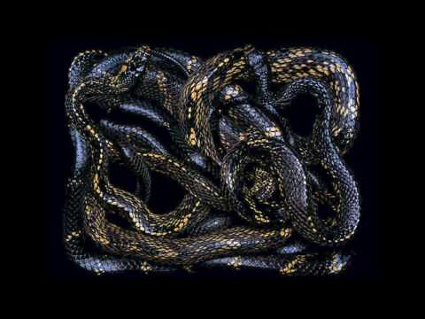 Serpentine Man - Black Liquid Gold