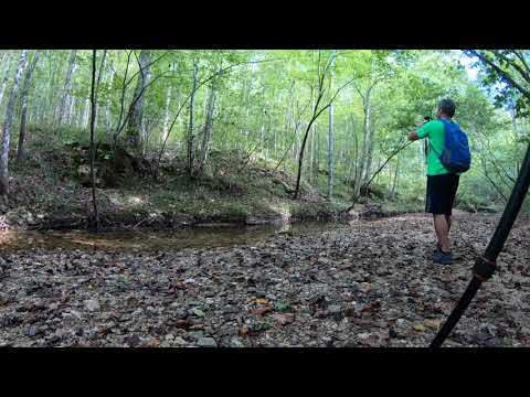 GoPro HERO6 Black Snake Activity Interrupts IrixGuy