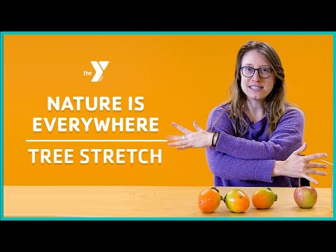 Nature is Everywhere with Reesha: Tree Stretch - Classrooms for All