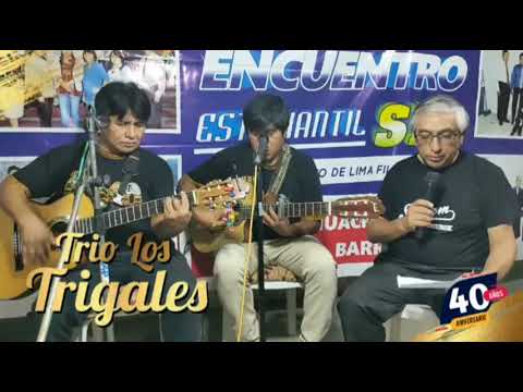 TRÍO LOS TRIGALES // COLECCIÓN LO MEJOR // 40 AÑOS ANIVERSARIO ESPECIAL EN VIVO