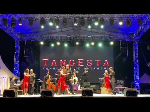 TangEsta Gran Gösteri -  Tanguera (M. Mores)