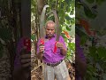 Telescopic Pruning Saw Rs 450 550 9787672239 Melur Madurai Pruning Sawblade Madurai Cutter