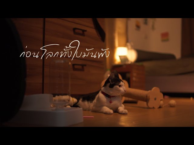 ก่อนที่โลกทั้งใบมันพัง - Mr' พระจันทร์