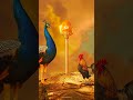 Seval Kodi