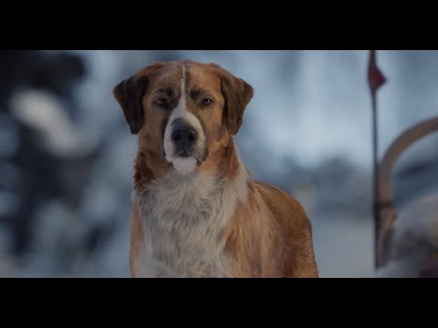 A Dog 2021 Full Movie With English Subtitles WATCH ||