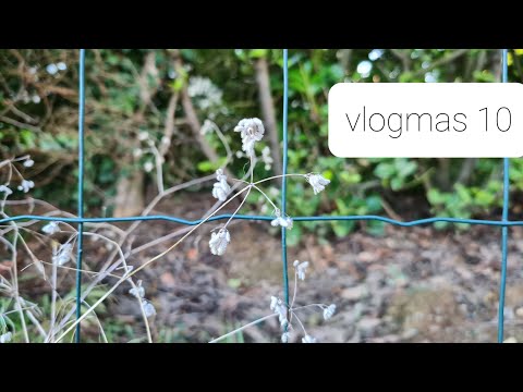 Yarnflakes Vlogmas 2021 - episode 10