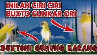 Download lagu CIRI PLECI BUSTO GUNKAR✅ 8️⃣Tanda Pleci Buxtoni Gunkar✅GUNUNG KARANG‼️ mp3 Download lagu CIRI PLECI BUSTO GUNKAR✅ 8️⃣Tanda Pleci Buxtoni Gunkar✅GUNUNG KARANG‼️ mp3