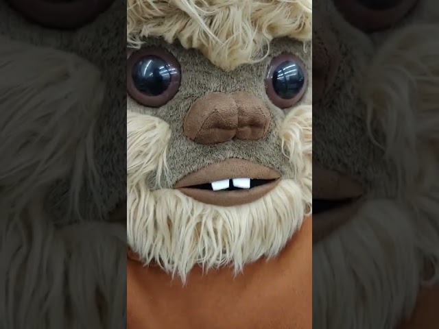 Vídeo relacionado con Star Wars Camp Ewok Where Everyone Is Family Camiseta