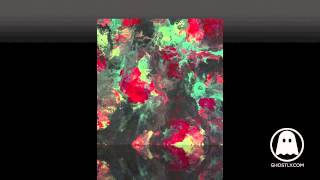 Fort Romeau - Your Light