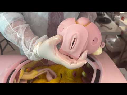 LAPAROSCOPIC ROBOTIC SIMULATOR - LARS