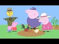 Granny Pig S Chickens Peppa Pig Season 3 Episode 19