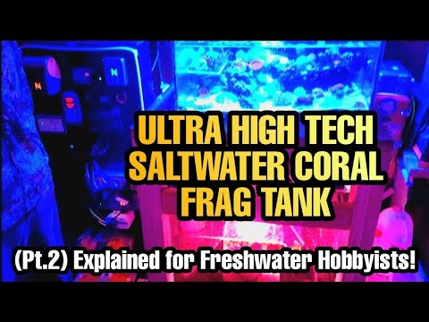 Pt. 2: How High Tech Do You Wanna Go? An Automated Saltwater Reef & Frag Tank for Profit. Feat Chase