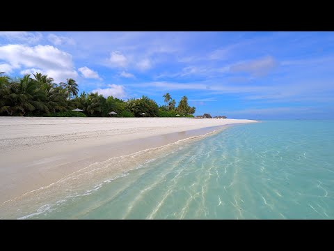Ocean 4K Ultra HD 🏝 Ocean Waves on a Tropical Island in Maldives