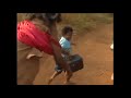 Aki And Paw Paw 30 Sec Whatsapp Status
