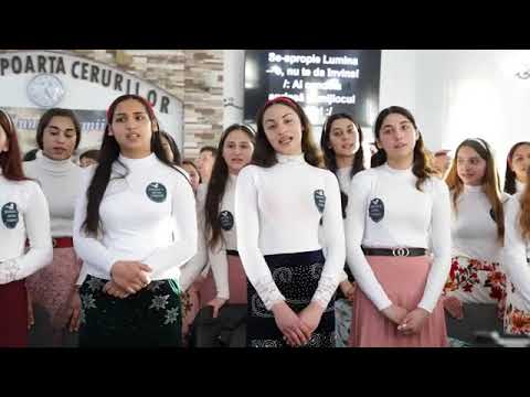 SEARA DE TINERET HANCEA VERESTI