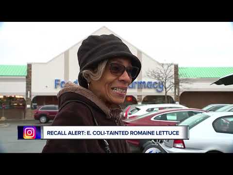 Romaine lettuce to blame for E. coli outbreak in 11...