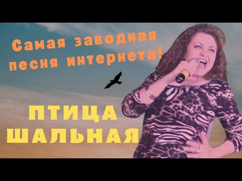 Птица шальная - Вера Снежная 🎶 Самая зажигательная песня интернета!