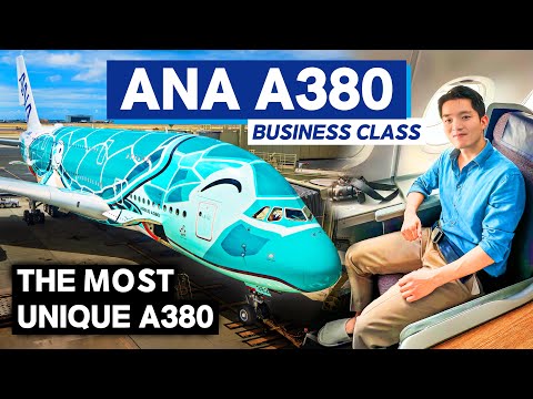 I flew on the World’s Most Unique Airbus A380 | ANA “Flying Honu” Business Class