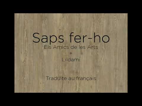 Saps fer-ho - Els Amics de les Arts - Lildami / Lletra / Traduite au français