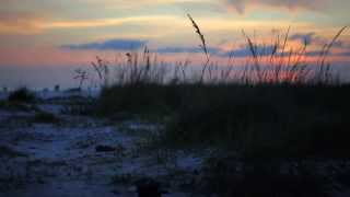 preview picture of video 'Siesta Key, Florida - DWELL Real Estate'