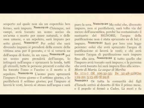 2014-12-21 Domenica Sera - Fr. Frusteri - Fr.Gemelli - Numeri Cap. 20 vers. 1-13