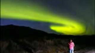 In the woods - yearning the seeds of a new dimension part2