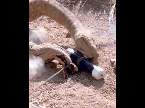 When EARTH FIGHTS BACK! 🤯 Val & Earl’s DYNAMITE DISASTER vs Underground Terrors | Tremors Breakdown