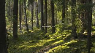 Cover art for In the kitchen sped up ( fantasy )