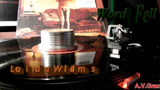 Lucinda Williams – Words Fell /vinyl/