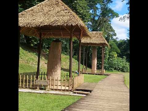 Seguimos en Quirigua los Amates Izabal Guatemala 🇬🇹😱 #vida #natureza