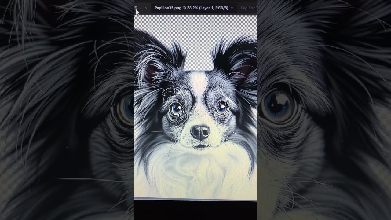 Papillon Dog Bundle 20