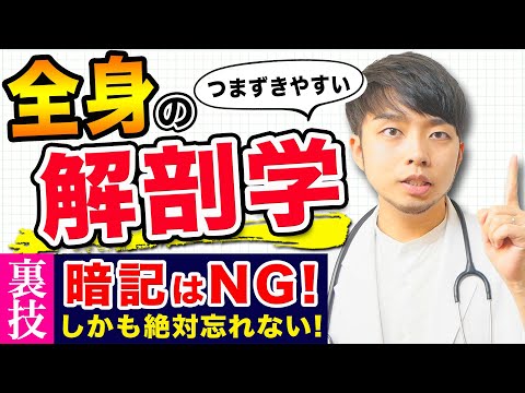 医学科 【解剖学】解剖学の勉強を始める前に見てほしい。解剖学は暗記じゃなく、このやり方で勉強すると、効率よく学習できます！
