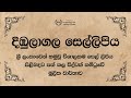 දිඹුලාගල සෙල්ලිපිය පිළිබඳව පත් කල විද්වත් කමිටුවේ මූලික වාර්තාව