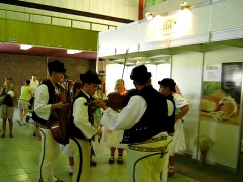 ľudová hudba Juraja Jánošíka - agrokomplex 2010 /2.