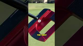 New Jailbird is AUTOMATIC From 4 Feet!