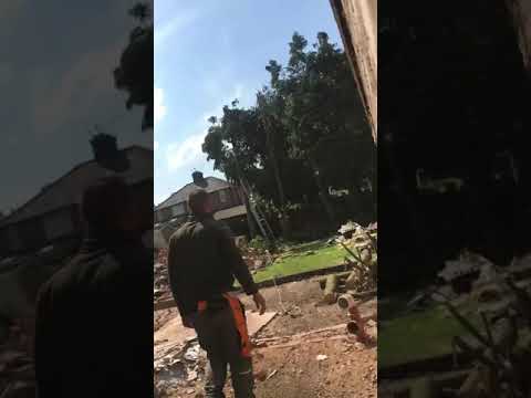 Timbertech tree care video.