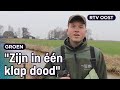 Armin (22) vangt muskusratten voor het waterschap | RTV Oost