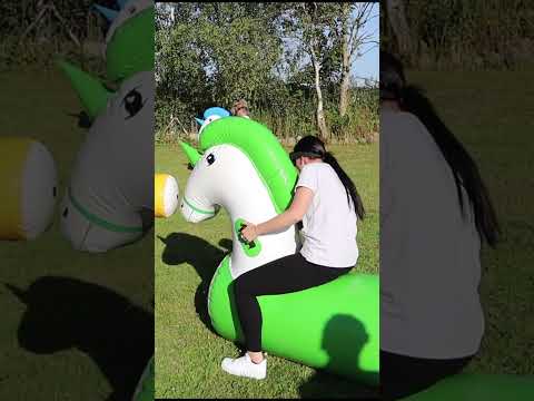 Unicorn polterabend stafet