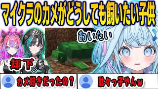 マイクラのカメがどうしても飼いたくて駄々っ子になるすうちゃん【⽔宮枢/綺々羅々ヴィヴィ/輪堂千速/FLOWGLOW/ホロライブ/切り抜き】