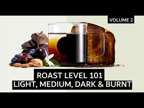 What Roast is Right for Me? - Volume 2 - Coffee Educational Series | Cometeer