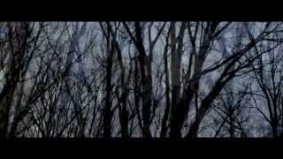 Yosi Horikawa - Stars (Official Video) directed by GAREN