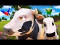 La Vaca Lola Va A Tener Un Ternerito La Granja De Zenón 5 El Reino Infantil