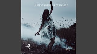 Multicolored Hummingbird